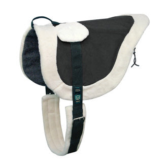 Bareback & Training Pad